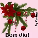 KE VERGONHA