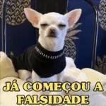 falsidade 