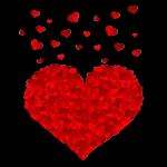 הורדה חינם, עדכונים יומיים, אין צורך בכניסה