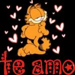 amor
