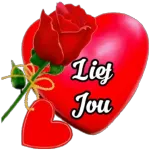 lief jou