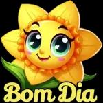 festa junina