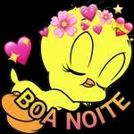 boa noite