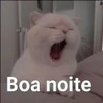 BOM DIA!!!