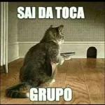 memes 