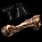 you comer O seu CUZINHO TA?