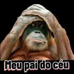 pacote de pacote
