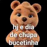 ursinho