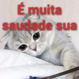 mFEO1B