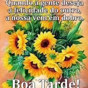 MMBDow