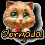 tom e Jerry 
