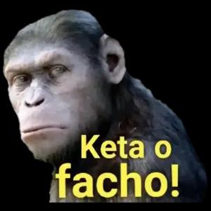 Keta o facho! - getsticker.com