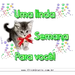 Feliz Segunda-feira!