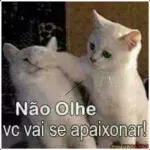 VOCÊ ESQUECEU
DE MIM