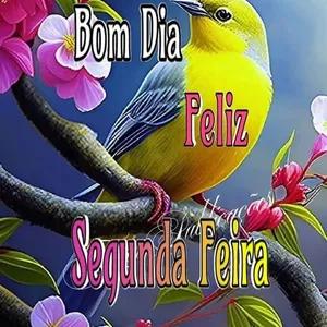 Bom Dia Feliz Segunda Feira - getsticker.com