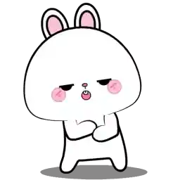 gatinho dançando