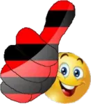 FLAMENGUISTA