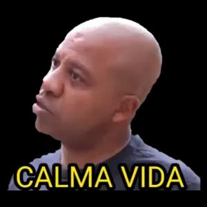 CALMA VIDA - getsticker.com