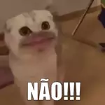 Boa noite 💋