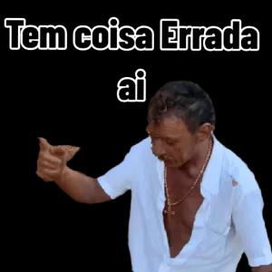 Tem coisa Errada ai - getsticker.com