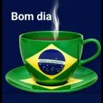 Tô indo