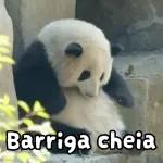 cerveja 