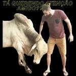Boi🐮