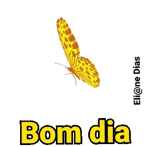 X0tYfd