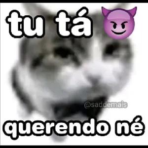 7ZwQ4Z