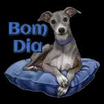 vou e dormi 