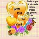 Bom dia com carinho