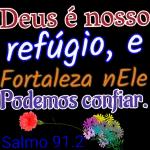 versículo 🙌👑