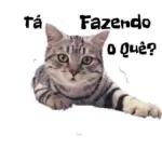 tá Fazendo o quê?