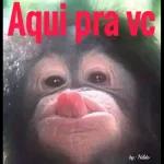 Bom dia!
Quando Deus
permite que um
desafio surja
em sua vida,
Ele está
dizendo que
você tem a
força.