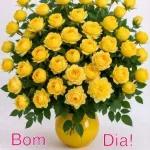 Bom Dia 