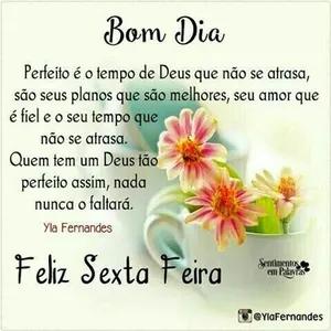 Bom Dia  Perfeito é o tempo de Deus que não se atrasa, são seus planos que são melhores, seu amor que é fiel e o seu tempo que não se atrasa. Quem tem um Deus tão perfeito assim, nada nunca o faltará. Yla Fernandes Feliz Sexta Feira Sentimentos em Palavras @YlaFernandes - getsticker.com