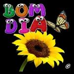 bom dia