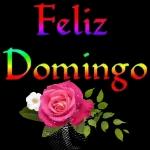 Pilar Mata ENTIENDE, VERGA!! 