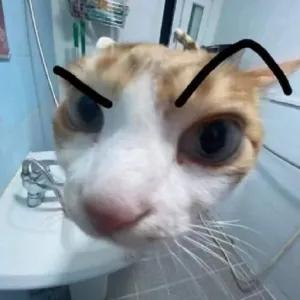 lyRGPu