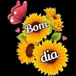 cacau soares 