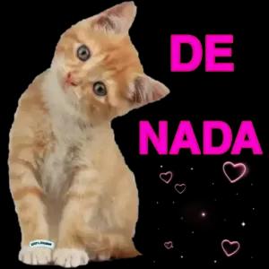 cZdjBs