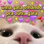 amizade 