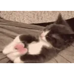 La vida es tranquila❤️