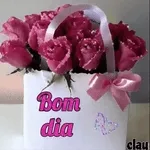 boa noite 