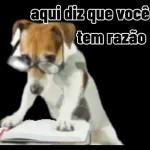 safadeza 