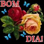 minhas y