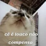 cé é louco não compensa
