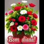 bom..dia 