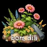 Bom Dia 