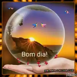 tyy